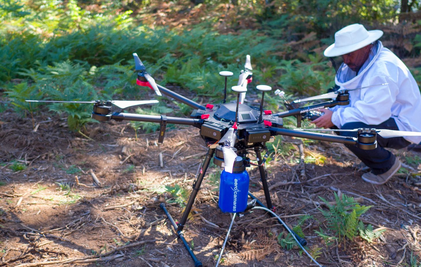 Drone Velutina, el sistema más rápido, seguro y eficaz contra la avispa asiática