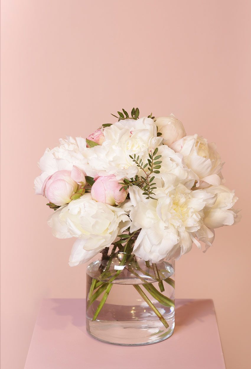 Las flores de temporada del mes de mayo según Absoluta Flora